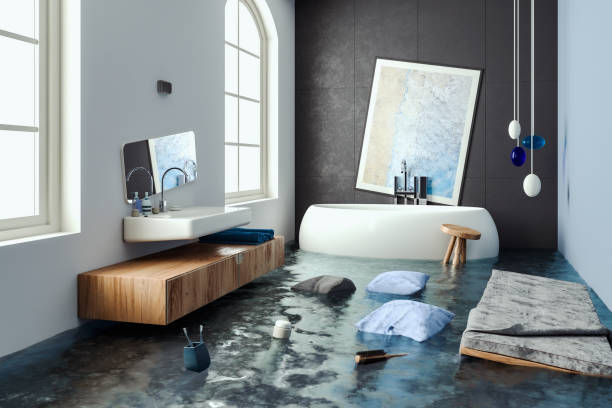 Best Professional water damage repair  in Albertson, NY