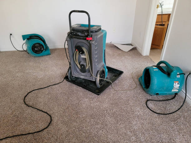 Best Carpet water damage restoration  in Albertson, NY