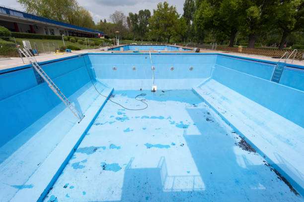 Best Water damage contractors near me  in Albertson, NY