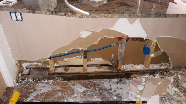 Best Ceiling water damage repair  in Albertson, NY
