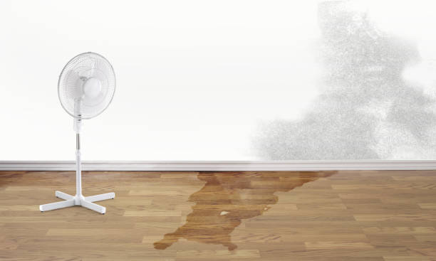 Best 24/7 water damage repair  in Albertson, NY