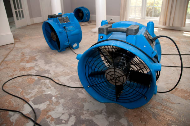 Best Sewage cleanup and water damage restoration  in Albertson, NY