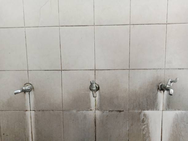Best Ceiling water damage repair  in Albertson, NY