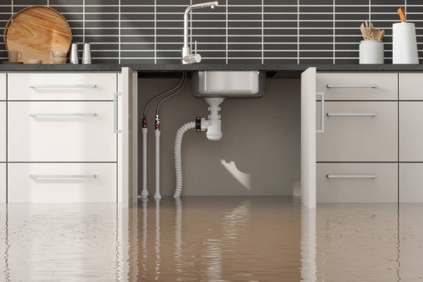Best Water damage restoration near me  in Albertson, NY