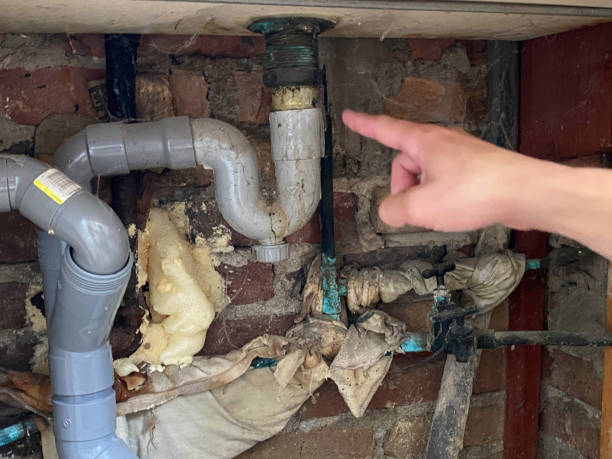 Best Water damage restoration company  in Albertson, NY