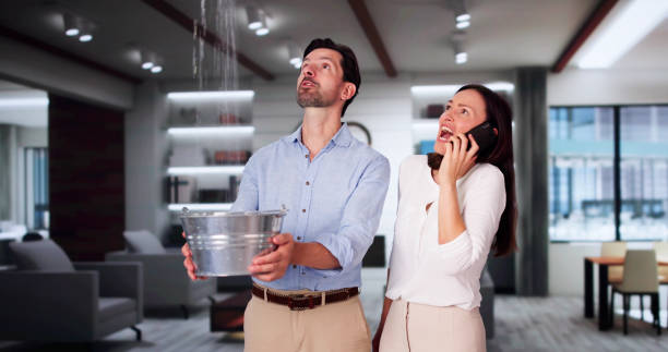 Best 24/7 water damage repair  in Albertson, NY