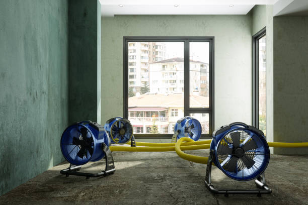 Best Water damage mitigation services  in Albertson, NY